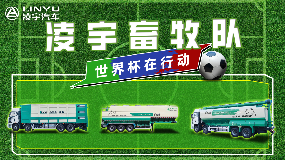 奪冠世界杯！你注意到這支球隊了嗎？